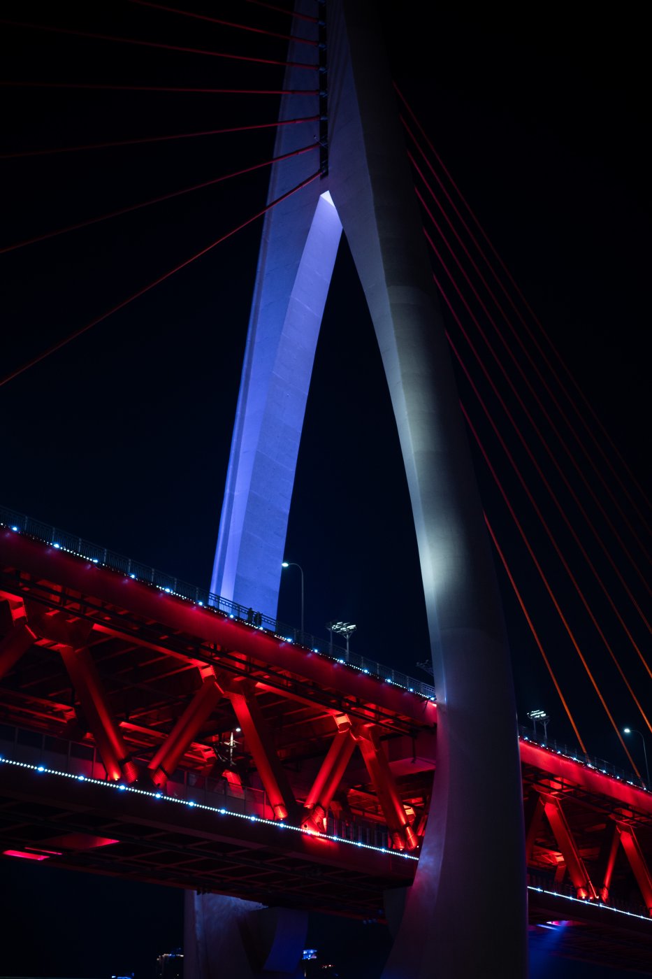 China (2024–2025) — photo 17