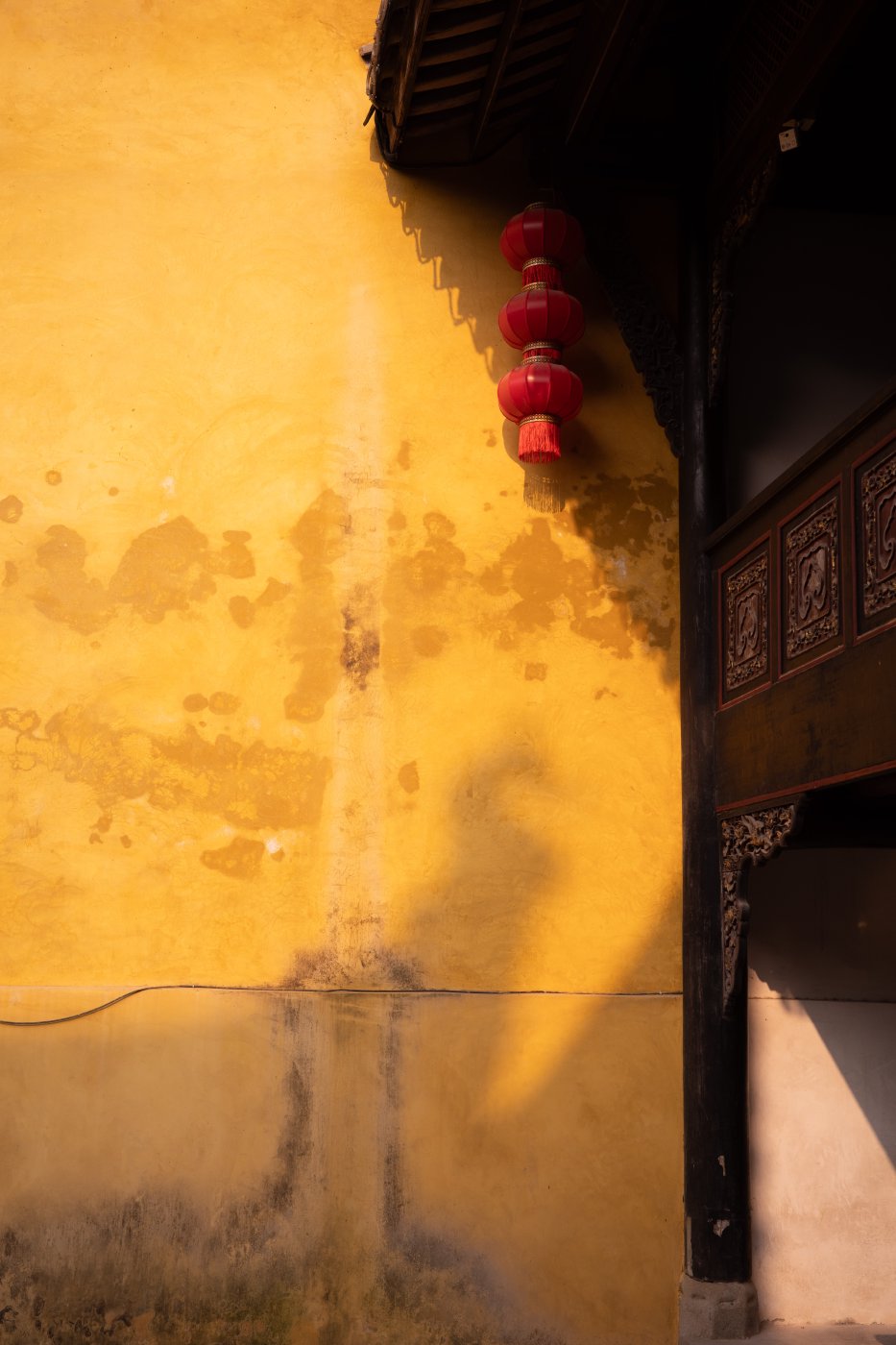 China (2024–2025) — photo 19