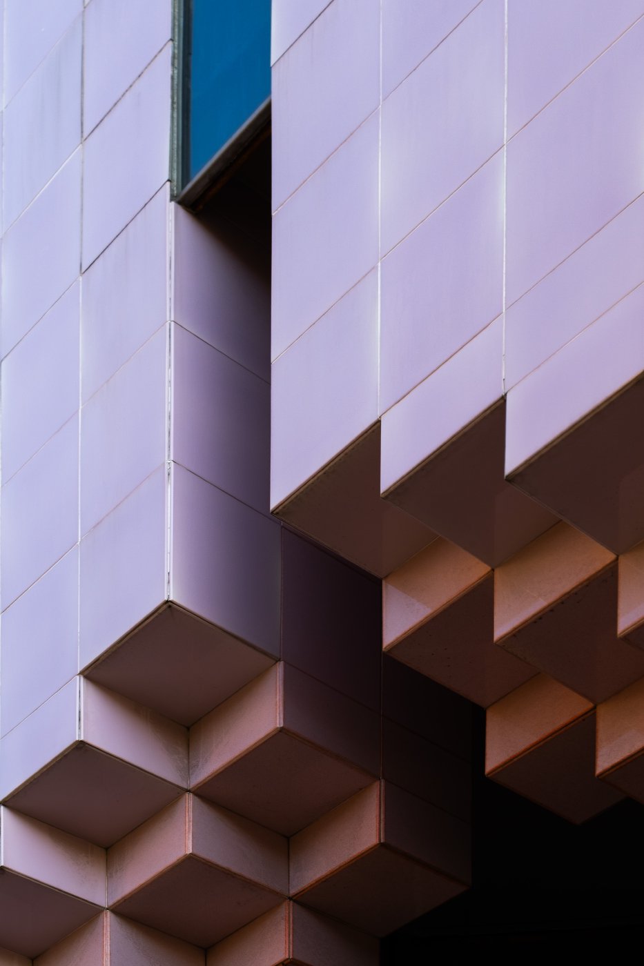 Japan (2025) — photo 3