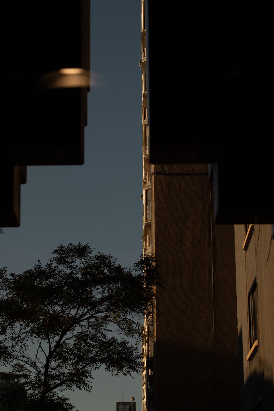 Japan (2025) — photo 4