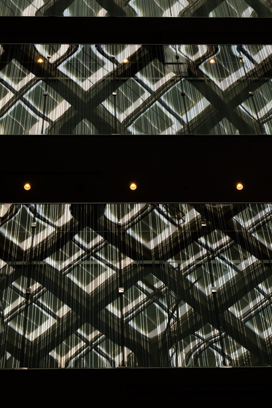 Japan (2025) — photo 7
