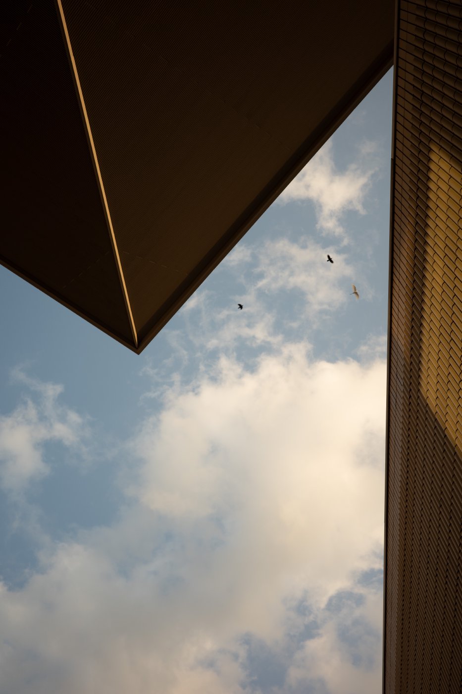 Japan (2025) — photo 13