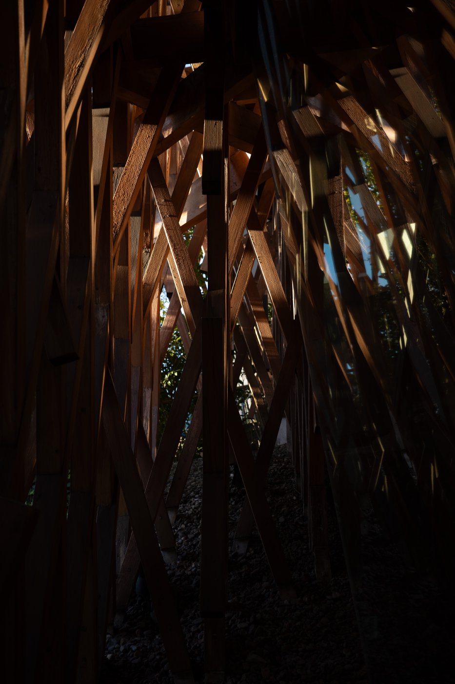 Japan (2025) — photo 16