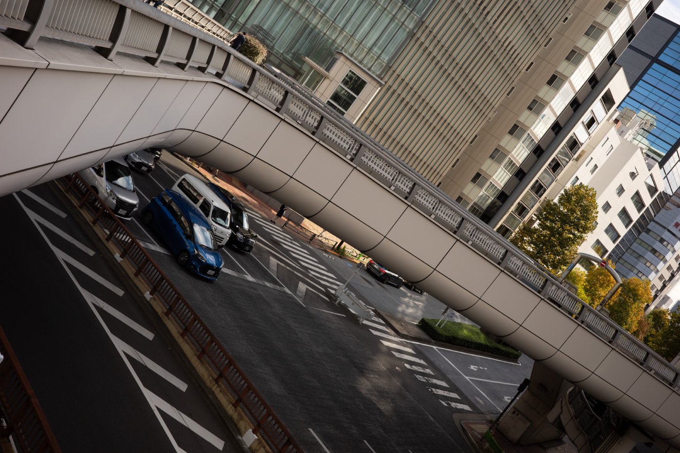 Japan (2025) — photo 19
