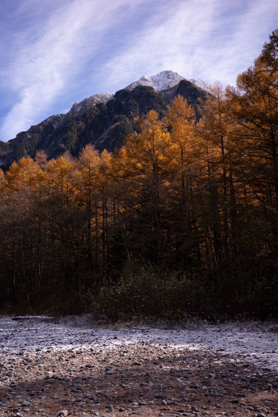 Japan (2025) — photo 4