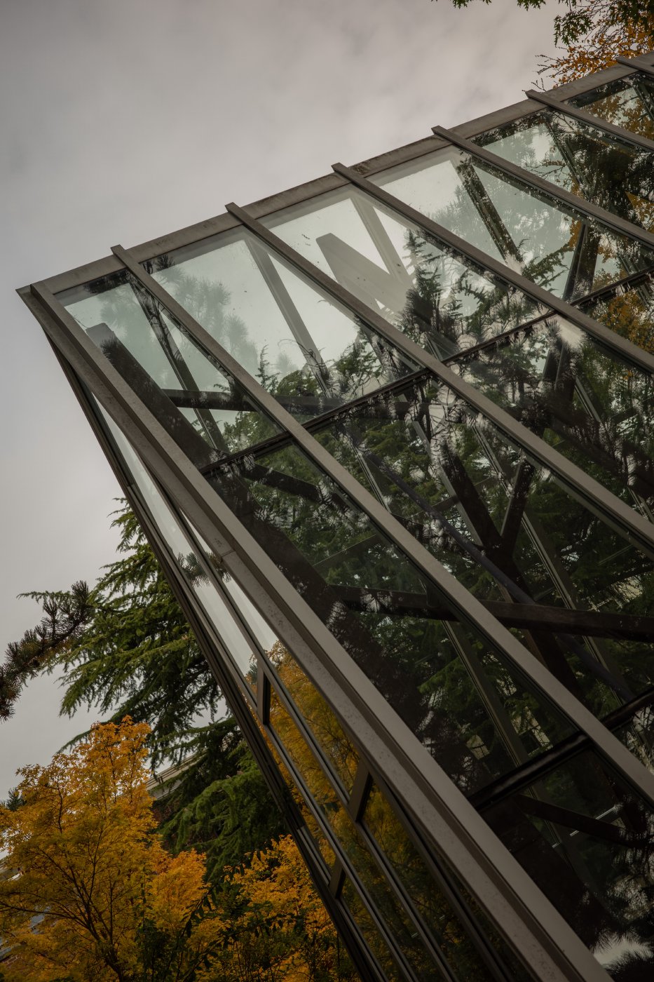 Seattle Walk (2025) — photo 4