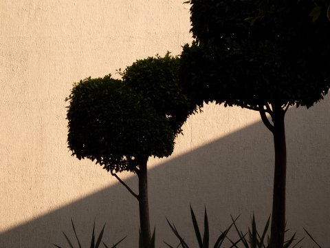Mexico City (2026)