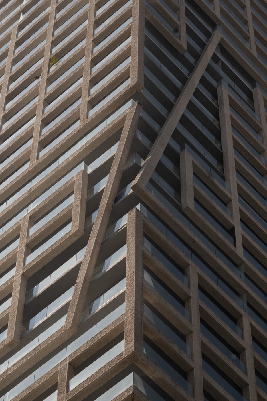 Mexico City (2026) — photo 14